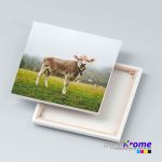 Stampa Foto su Tela Personalizzata | Spessore 2 cm / 5 cm Digital Krome