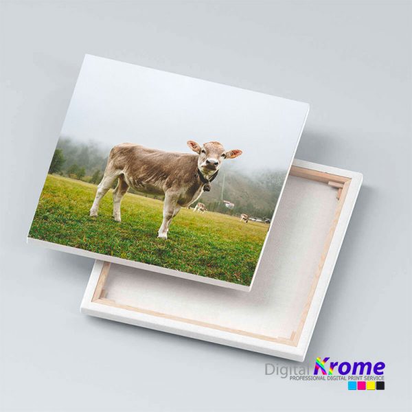 Stampa Foto su Tela Personalizzata | Spessore 2 cm / 5 cm Digital Krome