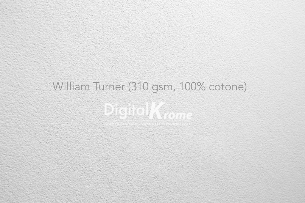 anteprima-stampa-photo-william-turner_1